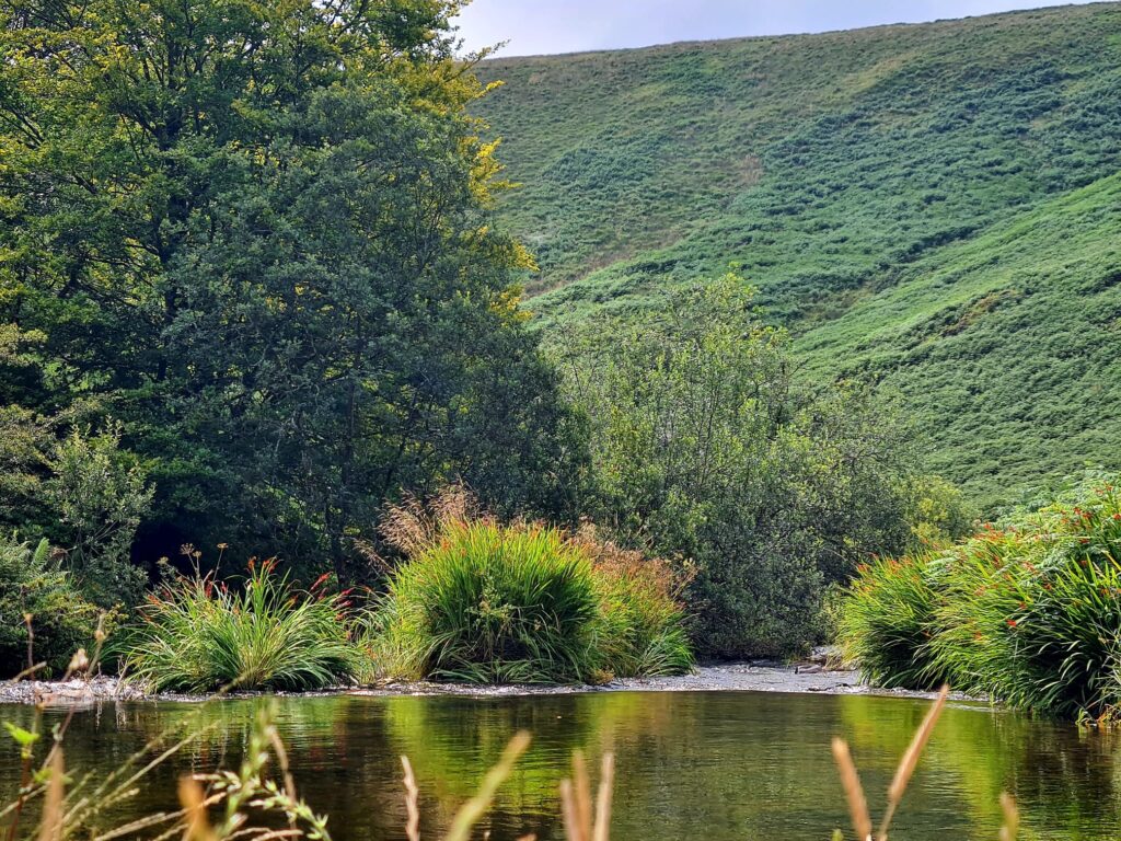 River Barle Wild Swimming