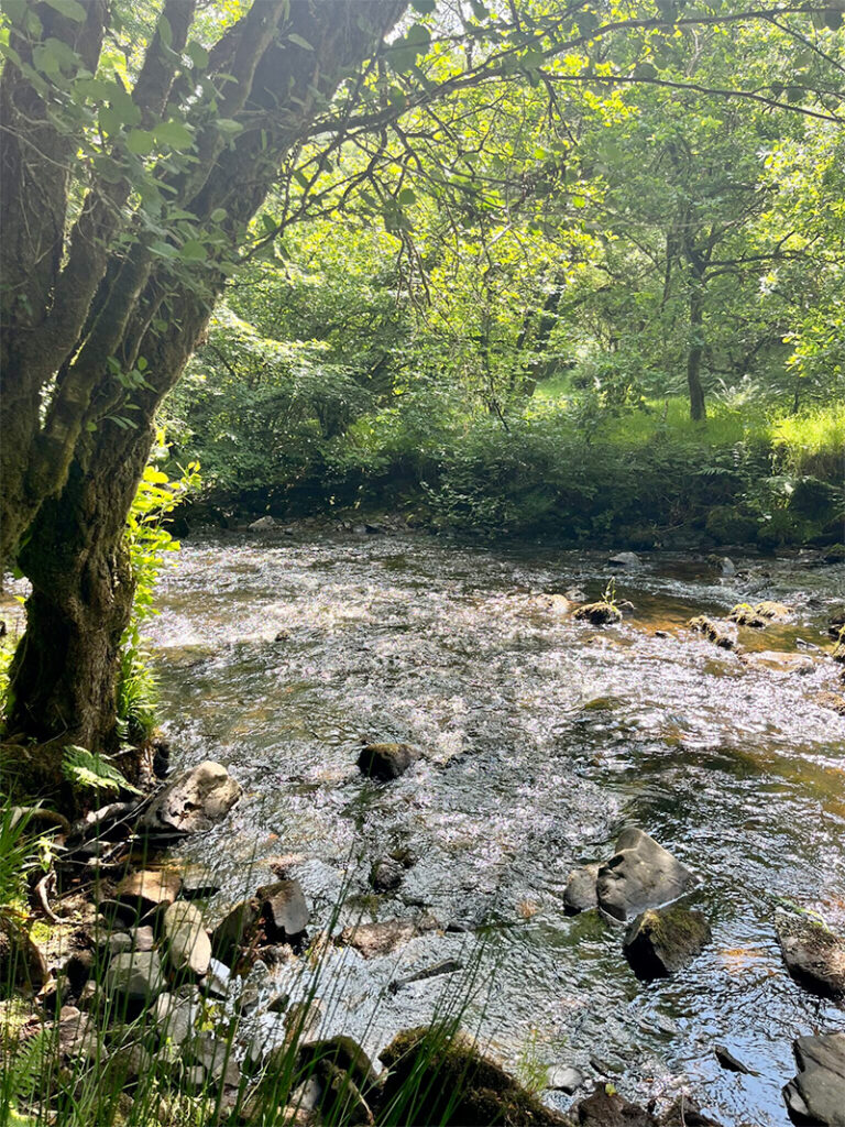 Exmoor Swimming