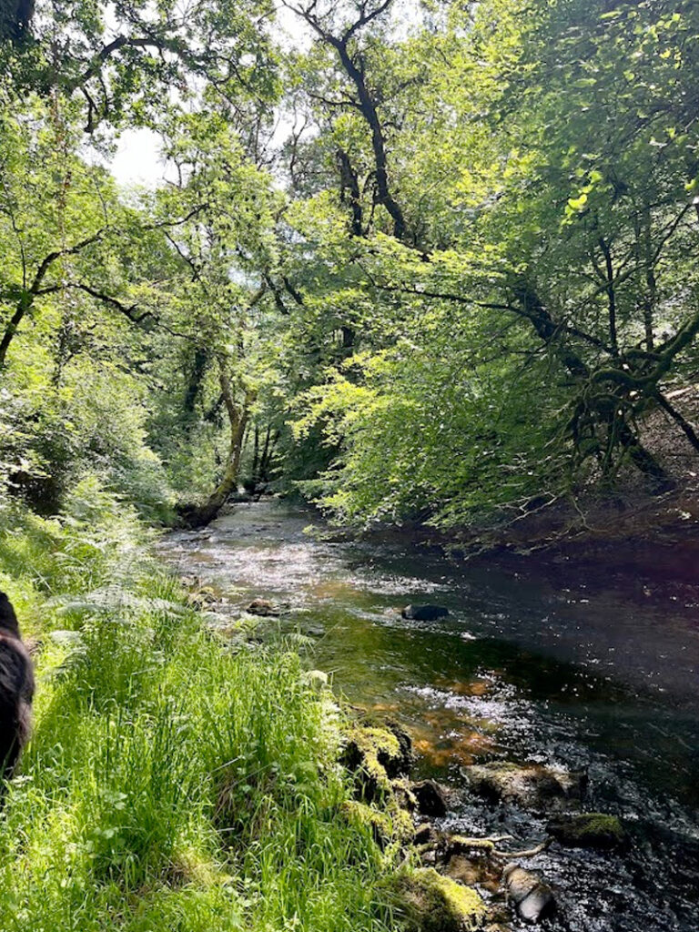 Hawkridge private river